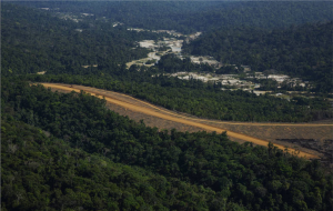 Folha de S. Paulo | Apreensão de drogas cresce em estados da Amazônia que reduzem desmatamento, diz centro do Ministério da Justiça