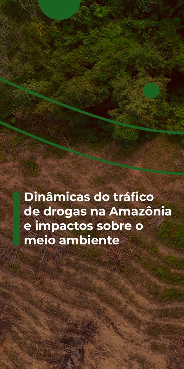 Amazonia novo
