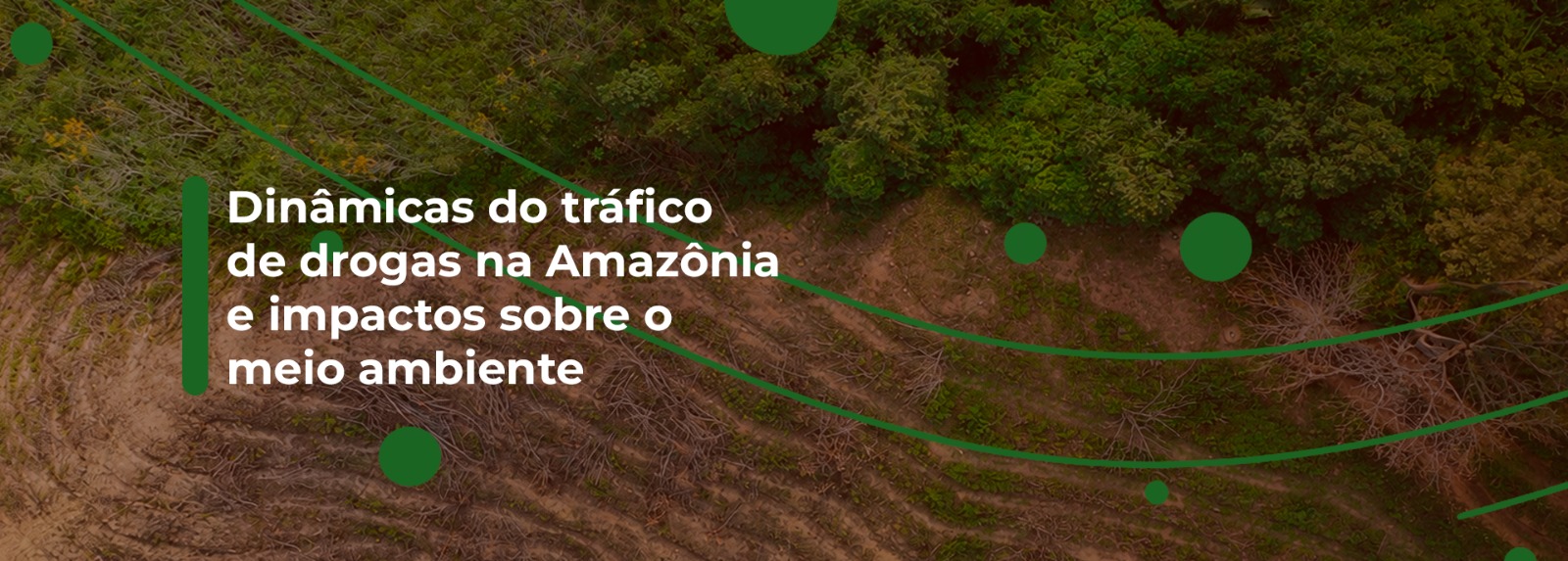 Amazonia novo